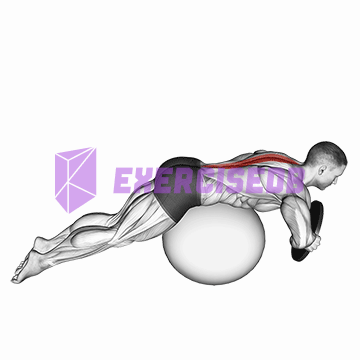 weighted hyperextension (on stability ball)