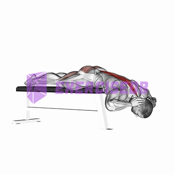 hyperextension (on bench)