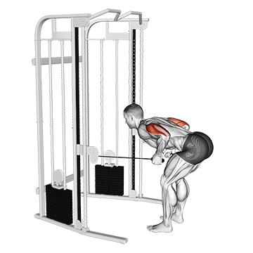 cable two arm tricep kickback demonstration