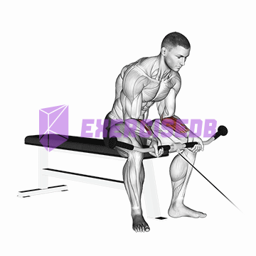 cable wrist curl