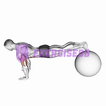 exercise ball pike push up
