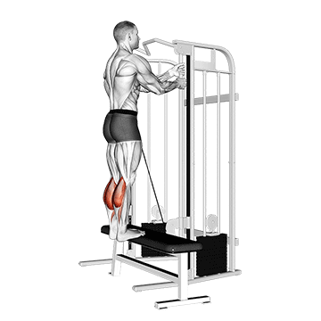 cable standing calf raise demonstration
