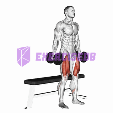 dumbbell bench squat