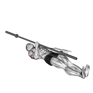 barbell one arm floor press demonstration