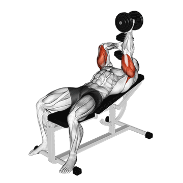 dumbbell lying alternate extension demonstration