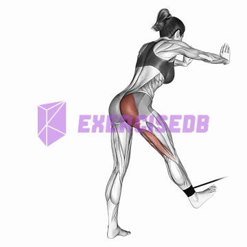 band bent-over hip extension img