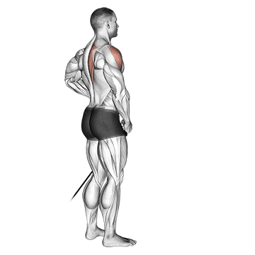 band front lateral raise demonstration