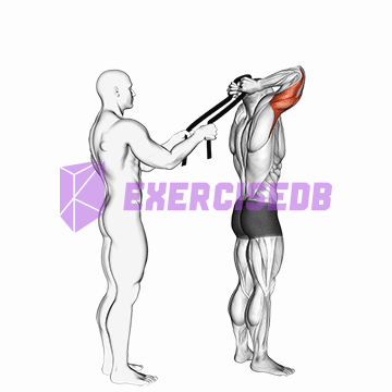 assisted standing triceps extension (with towel) img