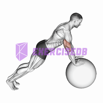 push-up (on stability ball)