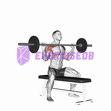 barbell seated overhead press
