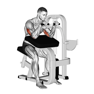 lever triceps extension demonstration