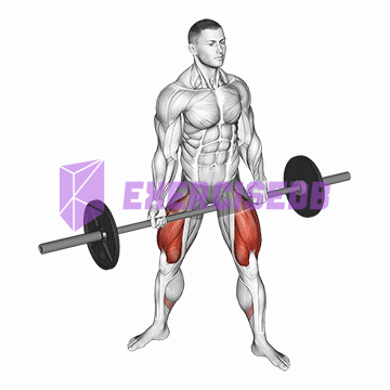 barbell jefferson squat