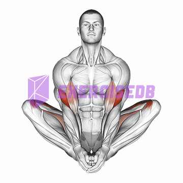 butterfly yoga pose