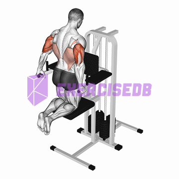 assisted triceps dip (kneeling) img
