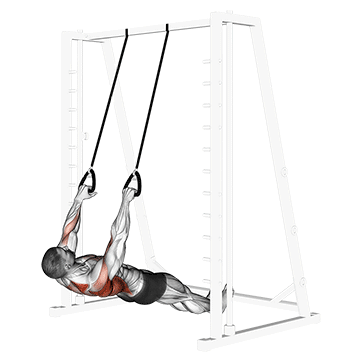 inverted row with straps demonstration
