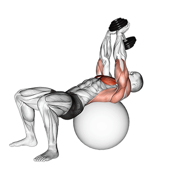 dumbbell pullover on exercise ball demonstration