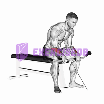 cable reverse wrist curl