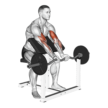 ez barbell close grip preacher curl demonstration