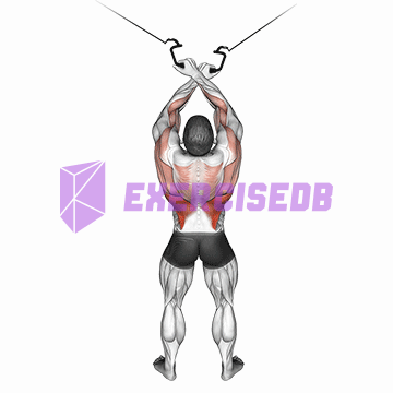 cable cross-over lateral pulldown