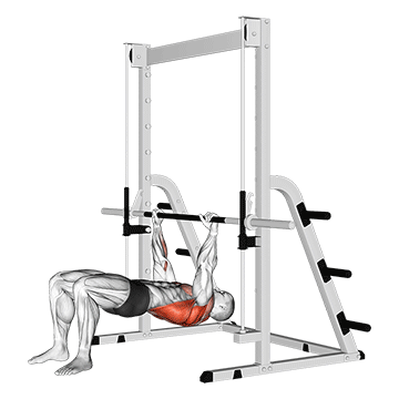 inverted row bent knees demonstration