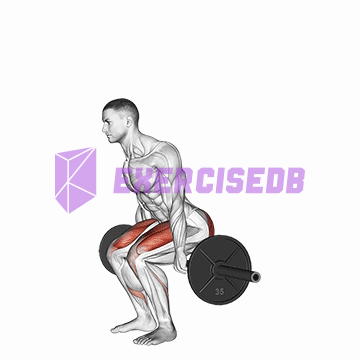 barbell hack squat