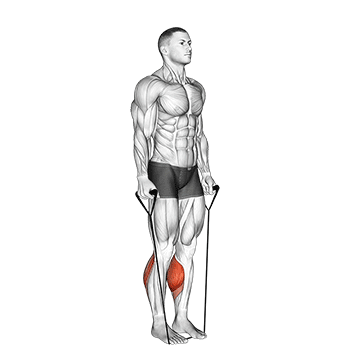 band two legs calf raise - (band under both legs) v. 2 demonstration