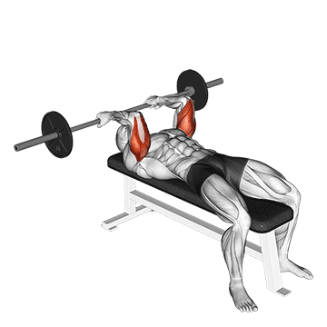 barbell reverse grip skullcrusher demonstration
