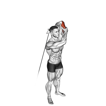cable alternate triceps extension demonstration