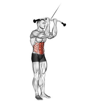 cable standing crunch demonstration