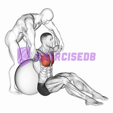 assisted seated pectoralis major stretch with stability ball img