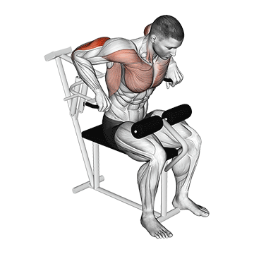lever overhand triceps dip demonstration