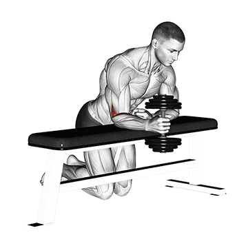dumbbell over bench one arm neutral wrist curl demonstration