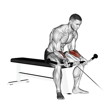 cable wrist curl demonstration