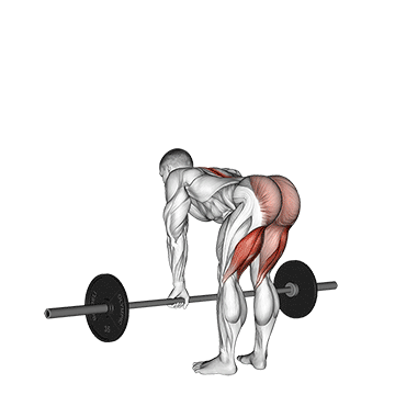 barbell straight leg deadlift demonstration