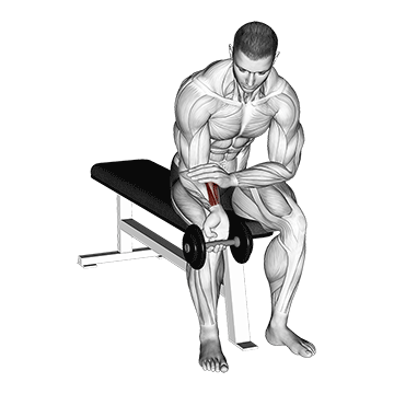 dumbbell one arm wrist curl demonstration
