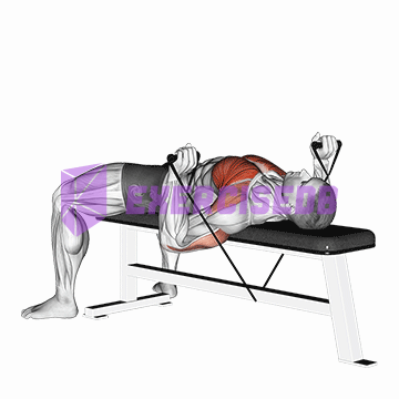 band bench press img