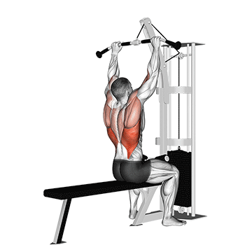 cable pulldown demonstration