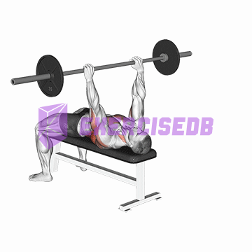 barbell bent arm pullover img