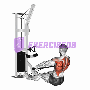 cable floor seated wide-grip row