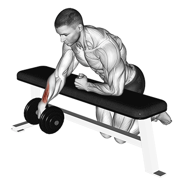dumbbell over bench one arm wrist curl demonstration