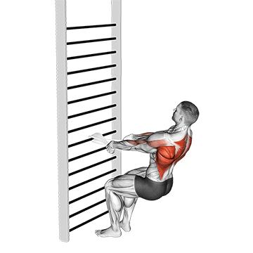 bodyweight squatting row (with towel) demonstration