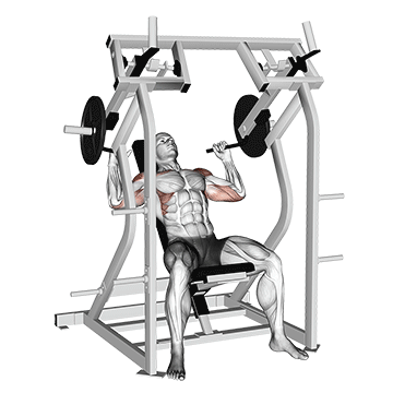 lever shoulder press v. 2 demonstration
