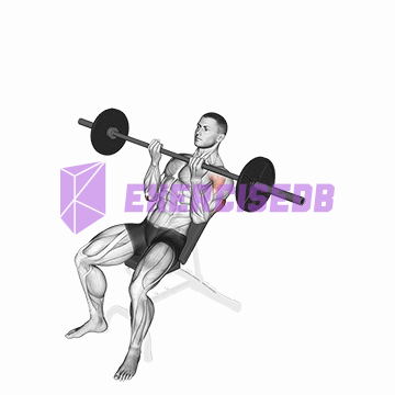 barbell incline reverse-grip press