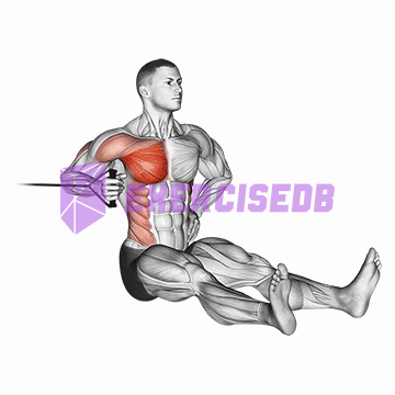 band one arm twisting chest press img