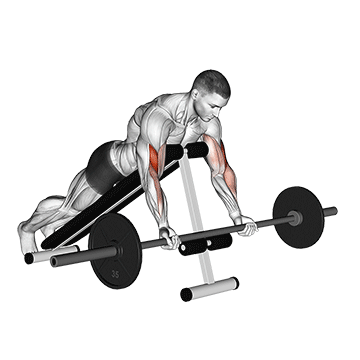 barbell prone incline curl demonstration