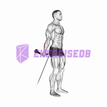 cable standing back wrist curl