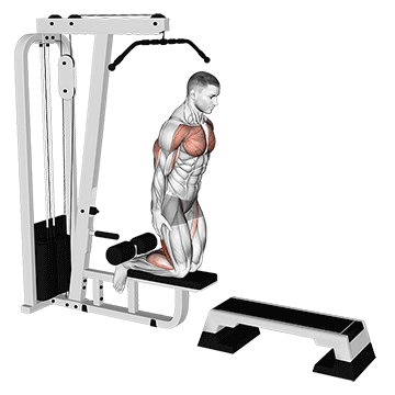 inverse leg curl (on pull-up cable machine) demonstration