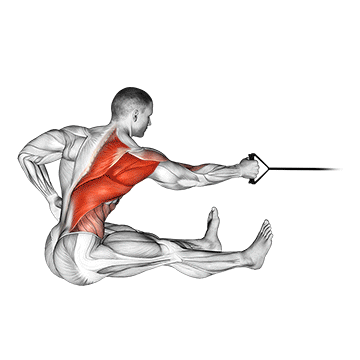 band one arm twisting seated row demonstration