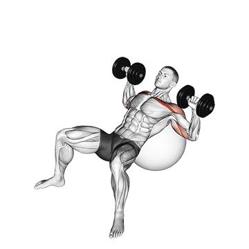 dumbbell incline press on exercise ball demonstration