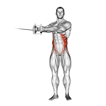 cable twist demonstration